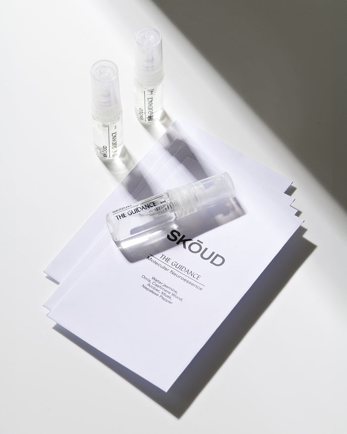 THE GUIDANCE SAMPLE